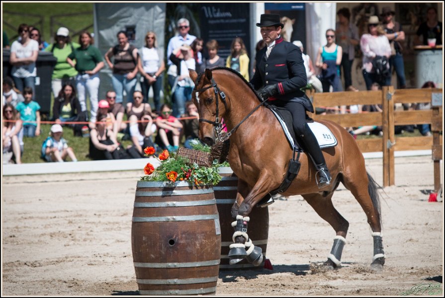 Pferd International 077